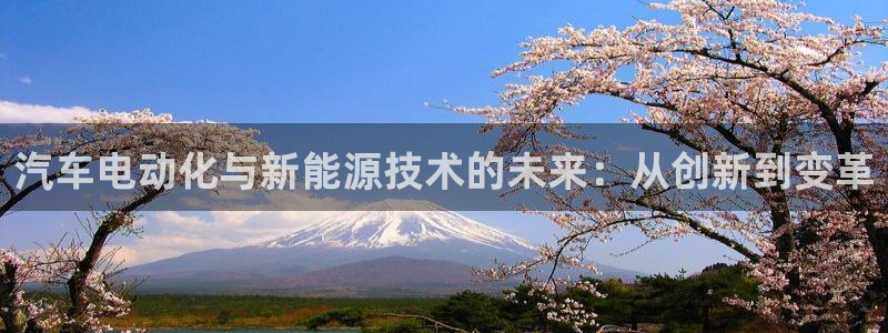 义乌摩根娱乐阿峰:汽车电动化与新能源技术的未来:从创新到变革