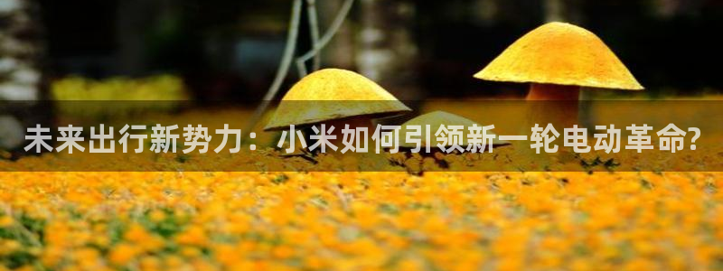 泉州摩根娱乐会所怎么样:未来出行新势力:小米如何引领新一轮电