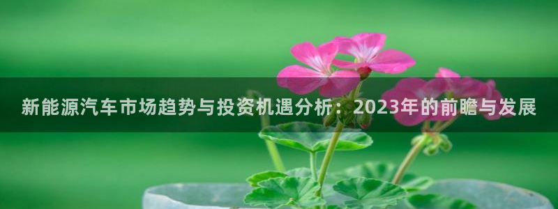 摩根转型娱乐的视频:新能源汽车市场趋势与投资机遇分析:202